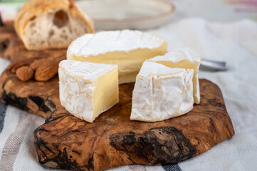 French soft Camembert cheese, original Camembert de Normandie made from raw cow milk