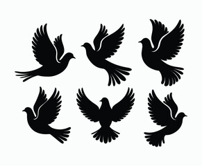 Obraz premium Dove silhouette EPS vector isolated illustration template on a white background