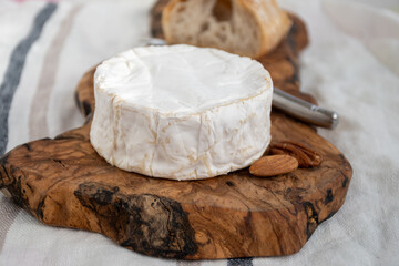 French soft Camembert cheese, original Camembert de Normandie made from raw cow milk