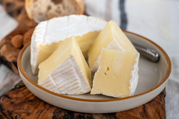 French soft Camembert cheese, original Camembert de Normandie made from raw cow milk