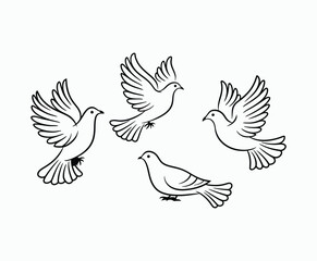 Obraz premium Dove silhouette EPS vector isolated illustration template on a white background