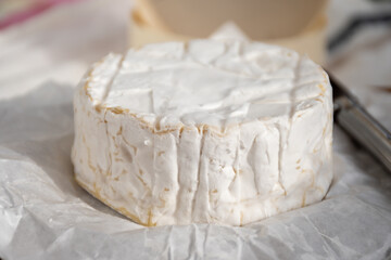 French soft Camembert cheese, original Camembert de Normandie made from raw cow milk