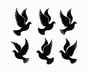 Fototapeta premium Dove silhouette EPS vector isolated illustration template on a white background