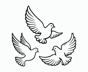 Obraz premium Dove silhouette EPS vector isolated illustration template on a white background