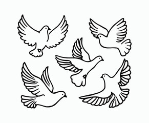 Obraz premium Dove silhouette EPS vector isolated illustration template on a white background