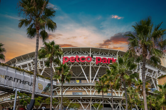 a gorgeous landscape at Petco Park with lush green palm trees blue sky and clouds in San Diego California USA