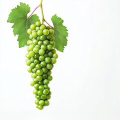 Fototapeta premium Fresh green grape bunch on white isolated background.
