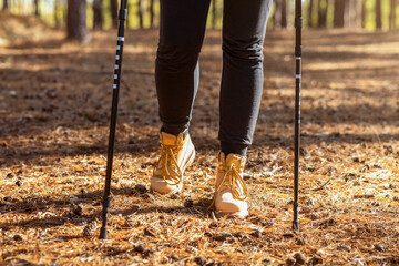 Hiking, camping, tourism concept. Cropped image of woman hiking with trekking poles, forest background, empty space