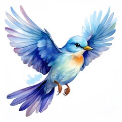 Obraz premium blue and yellow robin bird