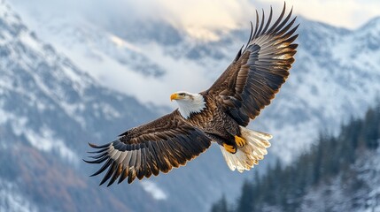 a Water drops sparkling in the sunlight on a leaf, showcasing the beauty and freshness of nature.