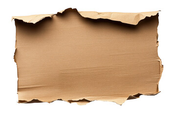 Fototapeta premium Crumpled Paper with Distressed Texture and Torn Edges Watermark.