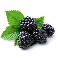 Fresh blackberries with vibrant green leaves isolated on a white background, showcasing natural gloss and ripeness.  