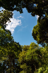 鎌倉249　三浦一族の墓1