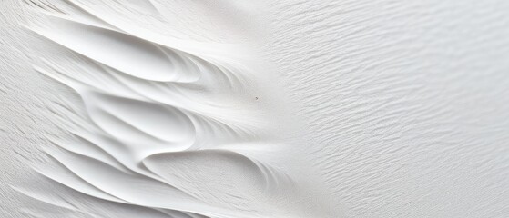 Obraz premium Abstract White Texture