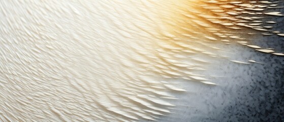 Abstract Feather Texture