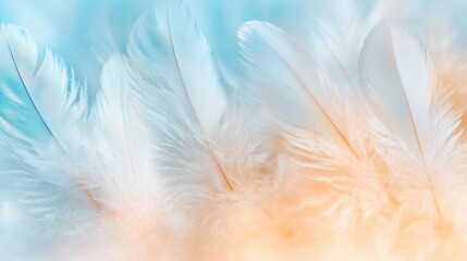 Obraz premium Delicate white feathers are softly illuminated, creating a tranquil effect in a gentle light against a serene pastel background