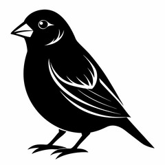 bird on a branch