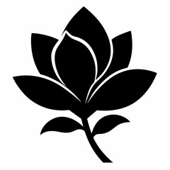 black and white lily