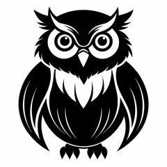owl on white