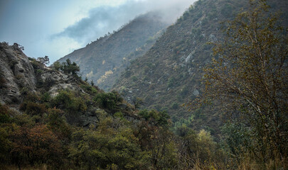 view from the top of mountain