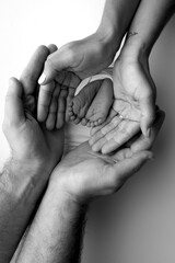 The palms of the parents. A father and mother hold the feet of a newborn child in a blanket. The feet of a newborn in the hands of parents. Black and white Photo of foot, heels and toes