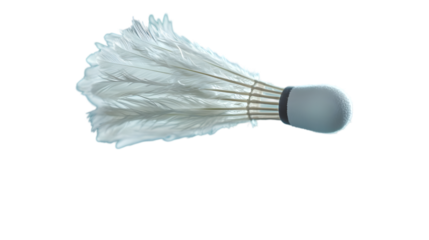 Mid-Flight Badminton Shuttlecock Capture
