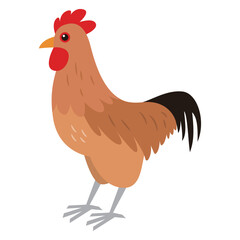 名古屋コーチンのイラスト