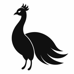 silhouette of a peacock