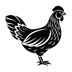 hen logo design icon template