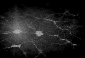 Black wall grunge texture