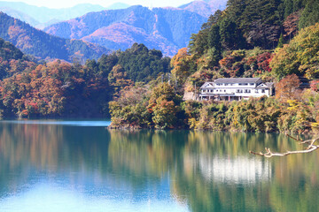  秋の奥多摩湖。青い湖面と湖畔の紅葉。