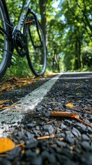 Obraz premium Closeup of Road Bike Tire on Forest Path