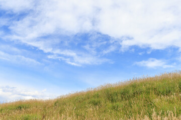 秋の空とすすきの生える丘