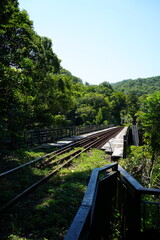 Fototapeta premium 한적한 시골의 오래된 기찻길 산책로