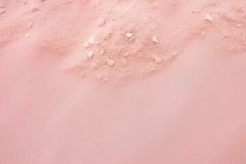 Fototapeta premium pink rose petals