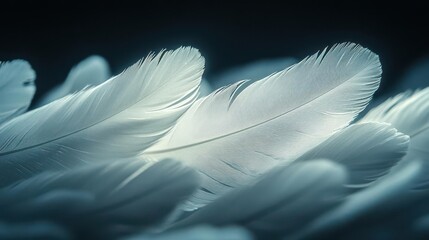 Naklejka premium white feathers drifting gracefully against a deep black background soft illumination highlighting their delicate structures creating a serene and ethereal atmosphere