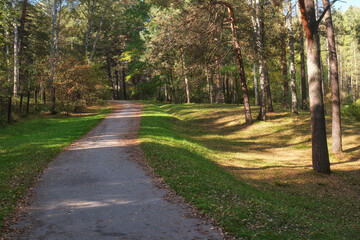 Asphalt path through an autumn park. Natural seasonal autumn background.