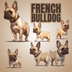 French Bulldog Illustration