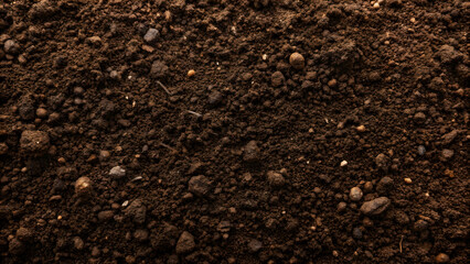 Fototapeta premium Close up top view photo of soil texture, soil, dirt, ground, nature, organic, earth, close up, top view, texture