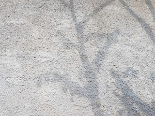 Shadow of a tree trunk concrete background with place for your text. abstract image