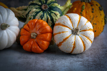 Pumpkin Autumn Vibes