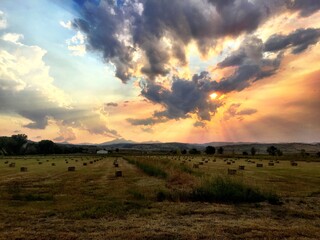 sunset over the field