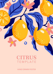 Citrus hand drawn template poster on the pink background, banner, card, decor, copy space, food illustration, vector