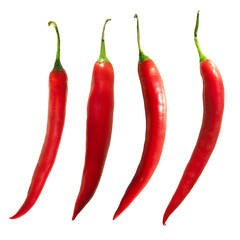 Czerwona ostra papryczka, papryka chilli. Bez tła