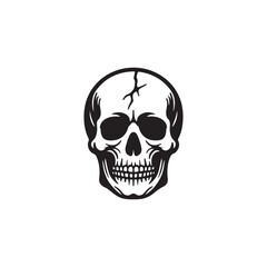 Vector Skull Icon Representing Danger and Toxicity.