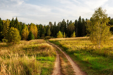 Picturesque autumn landscape with a dirt road leading to the forest