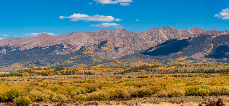 Fall foliage in the Rocky Mountains