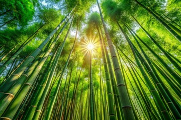 Fototapeta premium In a peaceful garden, a tall bamboo tree thrives, bathed in bright, natural sunlight, emphasizing the serene beauty