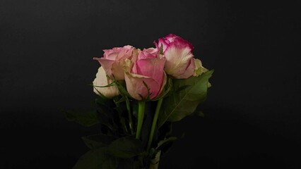 Bouquet of multicoloured roses rotating on a black background. Multicolored roses on dark background. Concept of romance, Valentine's Day, wedding day