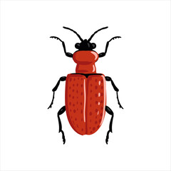 vector drawing lily leaf beetle isolated at white background, garden pest, hand drawn illustration